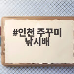 인천 주꾸미 낚시배