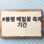 봉평 메밀꽃 축제 기간 9월 4일부터 13일 봉평 메밀꽃 축제 기간