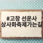 선운사 상사화축제 가는길 개화시기 고창 선운사 상사화축제가는길