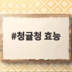청귤청 효능