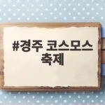 경주 코스모스 축제 첨성대 황화코스모스 명소 경주 코스모스 축제