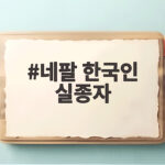 네팔 한국인 실종자 9명 수색 상황 네팔 한국인 실종자
