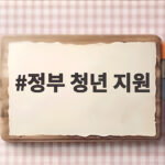 정부 청년 지원