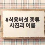 식용버섯 종류 사진과 이름 알아보기 식용버섯 종류 사진과 이름