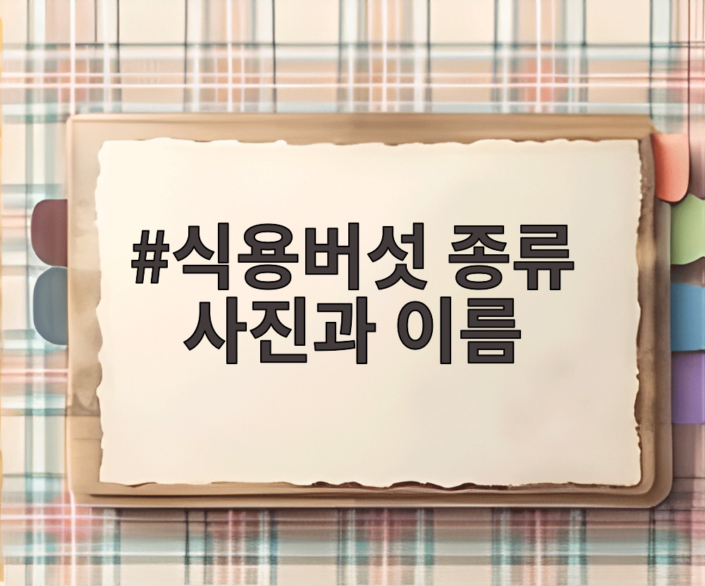 식용버섯 종류 사진과 이름