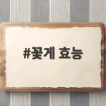 꽃게 효능