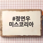 정연우 미스코리아 성형 논란 일침 정연우 미스코리아