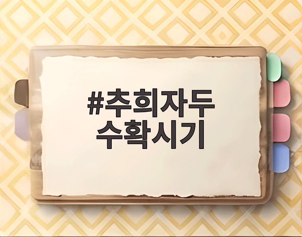 추희자두 수확시기