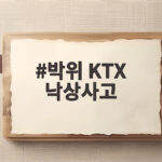 박위 KTX 낙상사고 전말과 안전한 휠체어 승하차 박위 KTX 낙상사고