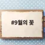 9월의 꽃 개화시기 명소와 여행 추천 9월의 꽃