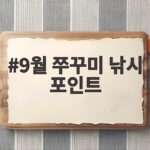 9월 쭈꾸미 낚시 포인트 잡는 법 총정리 9월 쭈꾸미 낚시 포인트