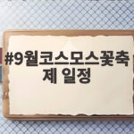 9월 코스모스 축제 일정 한눈에 보기 9월코스모스꽃축제 일정