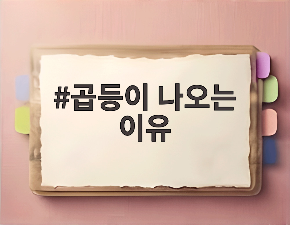 곱등이 나오는 이유