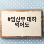 임산부 대하 먹어도 괜찮을까 안전한 섭취법 임산부 대하 먹어도