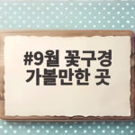 9월 꽃구경 명소 10곳 시기별 추천 9월 꽃구경 가볼만한 곳