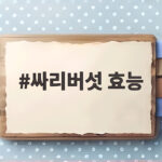 싸리버섯 효능