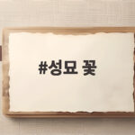 성묘 꽃