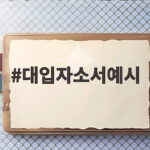 대입자소서예시로 합격 자소서 쓰기 대입자소서예시