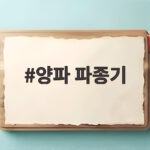 양파 파종기 시기와 모종 심는 방법 양파 파종기
