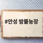 안성 밤뜰농장 밤줍기 체험 준비와 팁 안성 밤뜰농장
