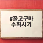 꿀고구마 수확시기 언제가 좋을까 꿀고구마 수확시기