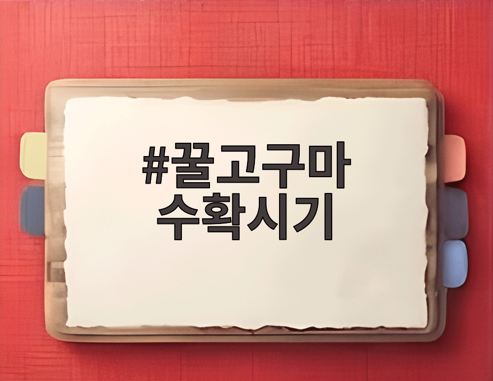 꿀고구마 수확시기