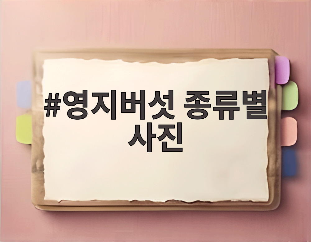 영지버섯 종류별 사진