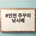 인천 주꾸미 낚시배 출항 시기 준비물 인천 주꾸미 낚시배