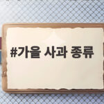 가을 사과 종류별 맛과 제철 정리 가을 사과 종류