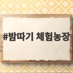 가을 밤따기 체험농장 아이와 즐기는 방법 밤따기 체험농장