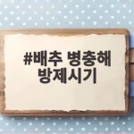 배추 병충해 방제시기 이렇게 지키세요 배추 병충해 방제시기