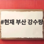 현재 부산 강수량 기록, 서구 120mm 폭우와 재난 문자 상황 총정리 현재 부산 강수량