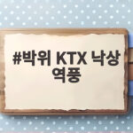 박위 KTX 낙상 역풍