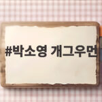 박소영 개그우먼