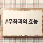 무화과의 효능과 하루 섭취량 무화과의 효능