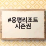 용평리조트 시즌권