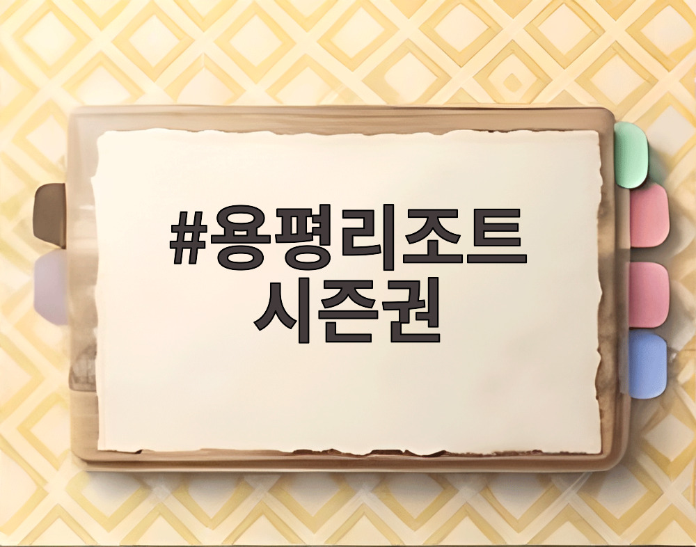 용평리조트 시즌권