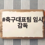축구대표팀 임시 감독