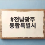 전남광주 통합특별시 조직개편 쟁점과 향후 과제 전남광주 통합특별시