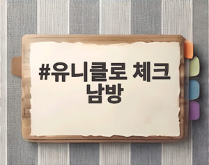 유니클로 체크 남방