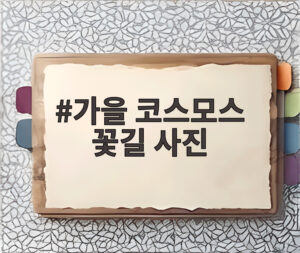 가을 코스모스 꽃길 사진
