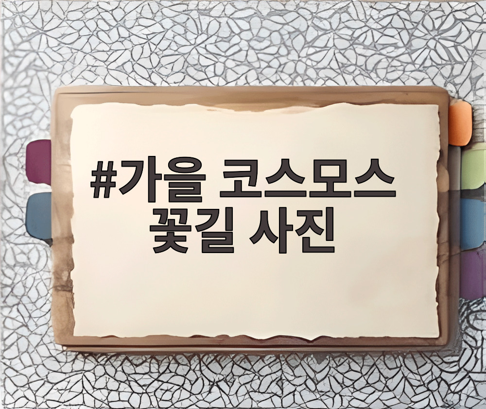 가을 코스모스 꽃길 사진