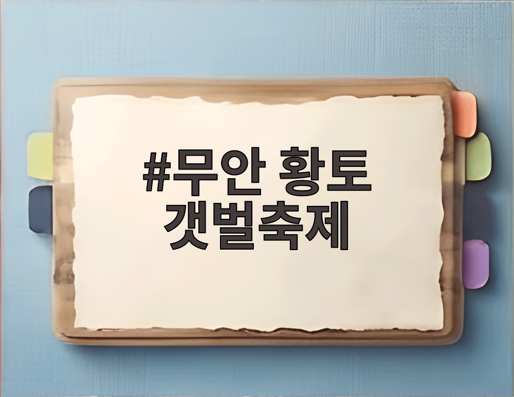 무안 황토 갯벌축제 갯벌 체험 현장