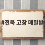전북 고창 메밀밭 가을 꽃구경 명소 전북 고창 메밀밭