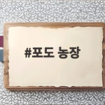 포도 농장 체험과 직거래 정보 포도 농장