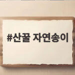 산꿀 자연송이 효능과 먹는 법 제대로 알기 산꿀 자연송이