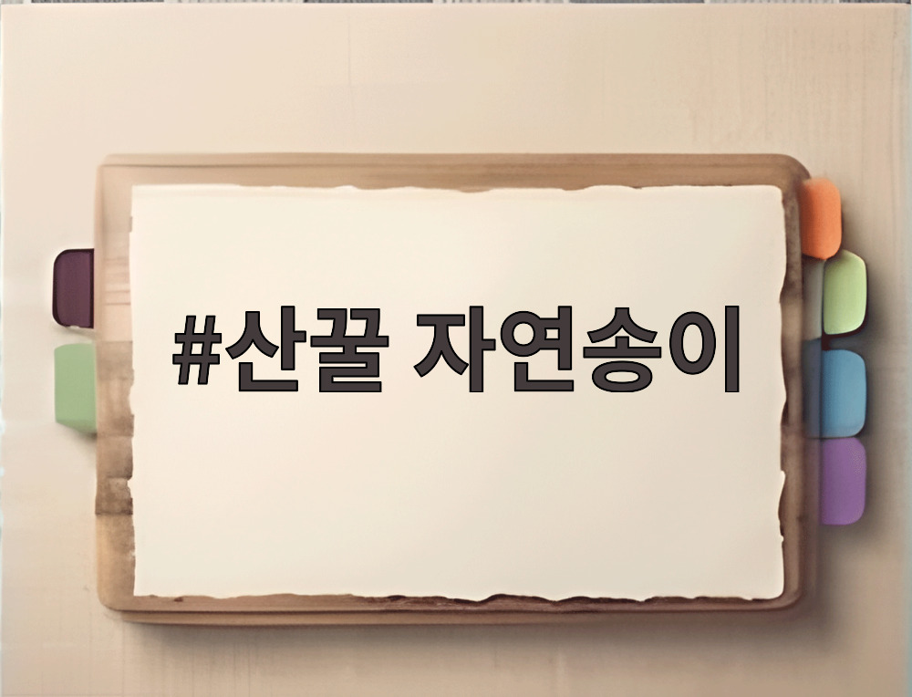 산꿀 자연송이