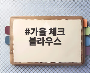 가을 체크 블라우스