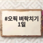 오픽 벼락치기 1일