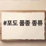 포도 품종 종류별 맛 특징 정리 포도 품종 종류